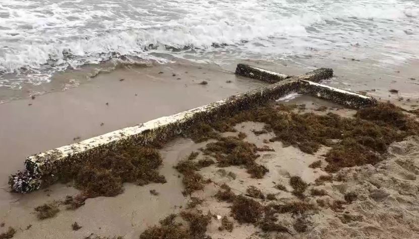 Beachgoer stunne after spotting a giant barnacle-covered cross washed up on a Florida beach 4
