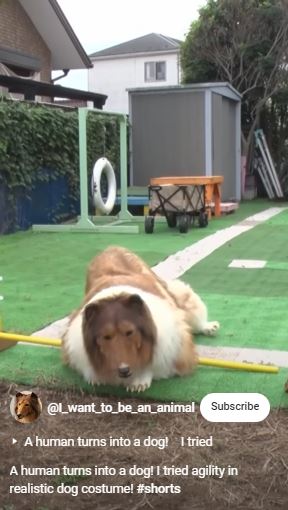 Man spends 'become a dog' but fails agility test 4