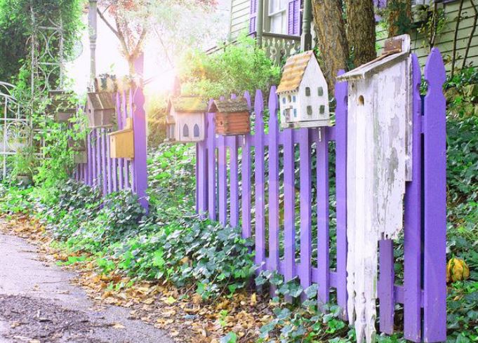 If you see a purple fence in the U.S, what does it mean? 2