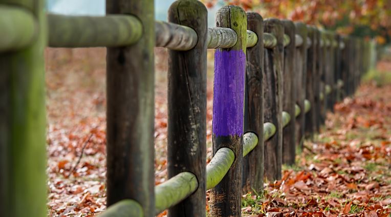 If you see a purple fence in the U.S, what does it mean? 3