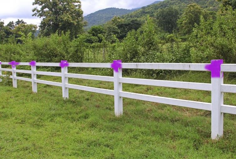 If you see a purple fence in the U.S, what does it mean? 4