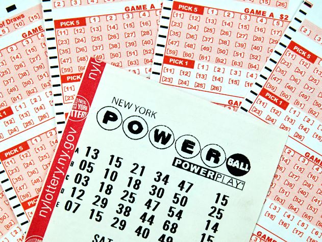 Harvard Professor stuns people by revealing best ways to increase your chances of winning the lottery 3
