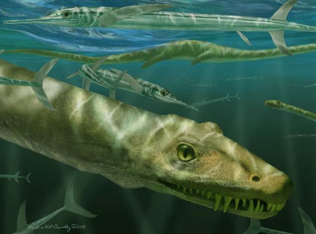  Scientists discover 240-million-year-old ‘dragon’ fossil 2