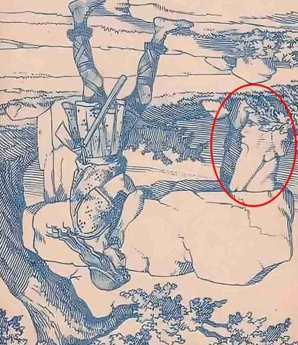 You have sharp eyes as you can find the person hidden in the picture in 9 seconds 3