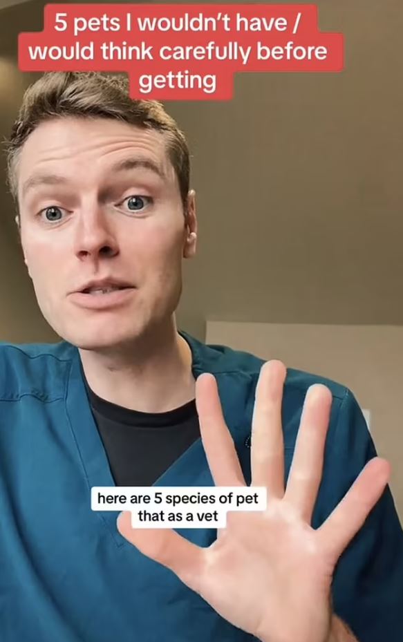 The British veterinarian ignited controversy by revealing five animal species he would never consider pets. Image Credits: @ben.the.vet/Tiktok