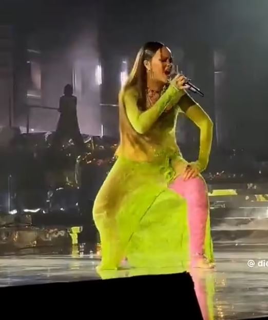 Rihanna slammed after doing 'bare minimum $6.3 million performance' pre-wedding gig for the son of India's richest man 3