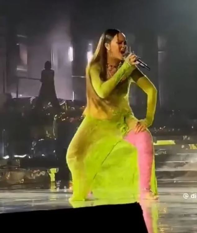Jaw-dropping amount spent on son's pre-wedding event with Rihanna's performance 5