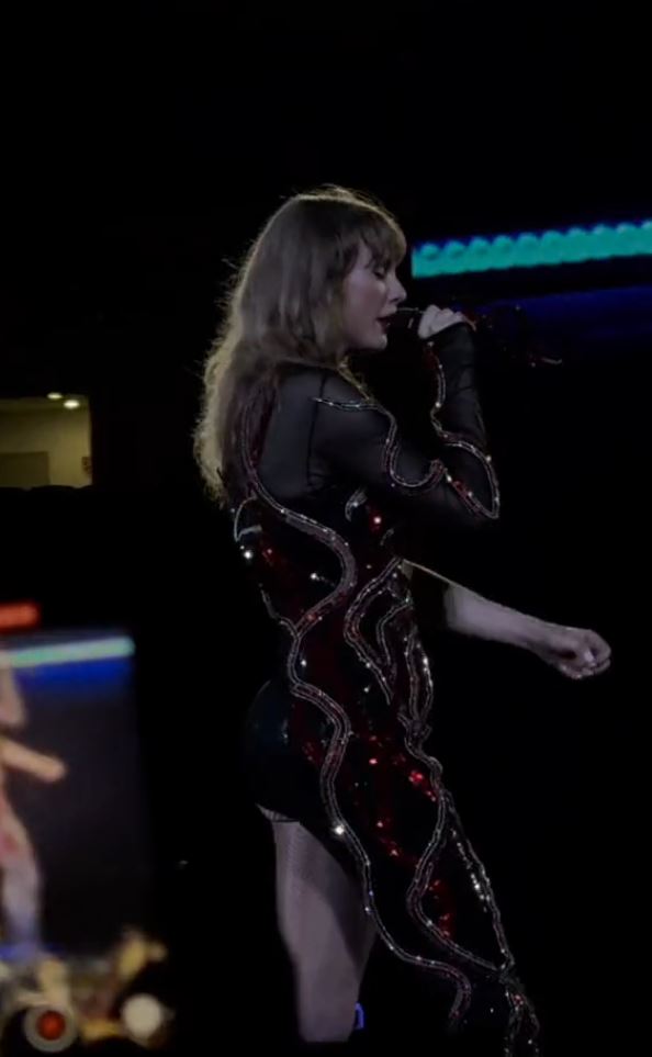 Fans express concern as Taylor Swift struggles through a performance 4
