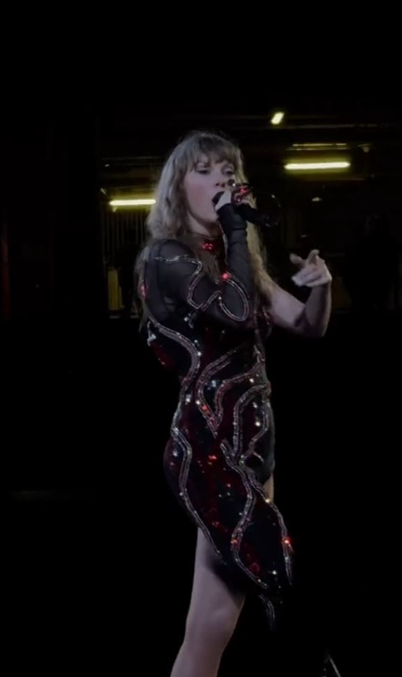 Fans express concern as Taylor Swift struggles through a performance 5
