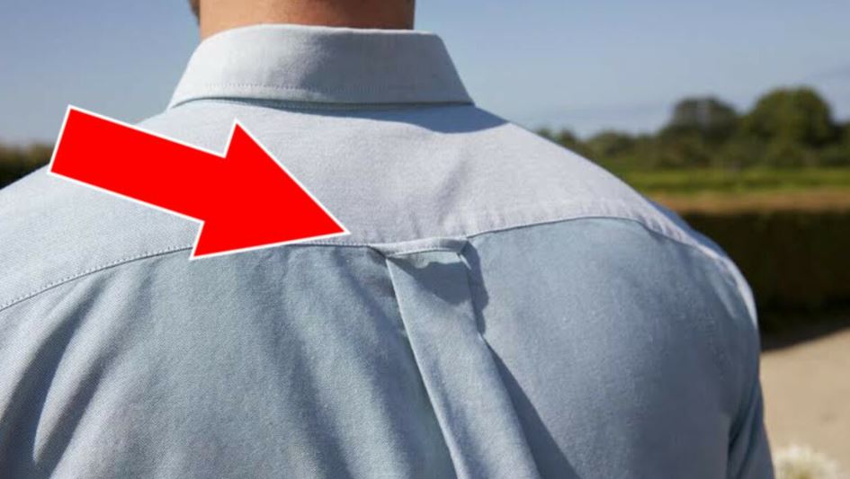 People are just realizing why button-down shirts have Loops on the back 1