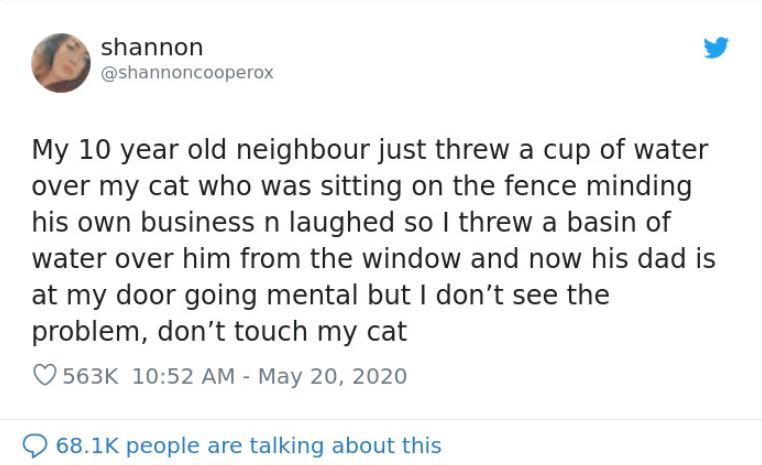 Woman sparks debate after pouring water over neighbor's son as lesson for cat prank 2