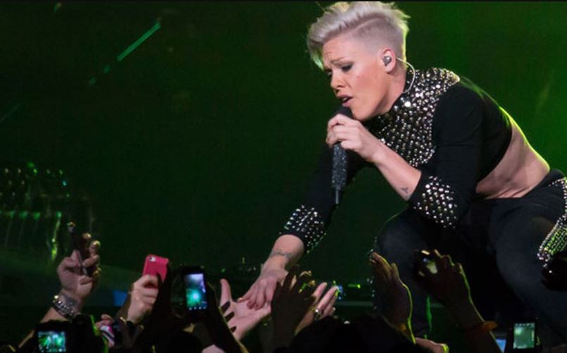 Pink Fan was forced to buy $120 ticket for newborn to attend concert 3