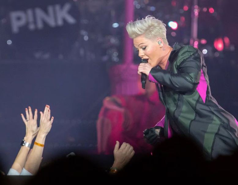 Pink Fan was forced to buy $120 ticket for newborn to attend concert 4