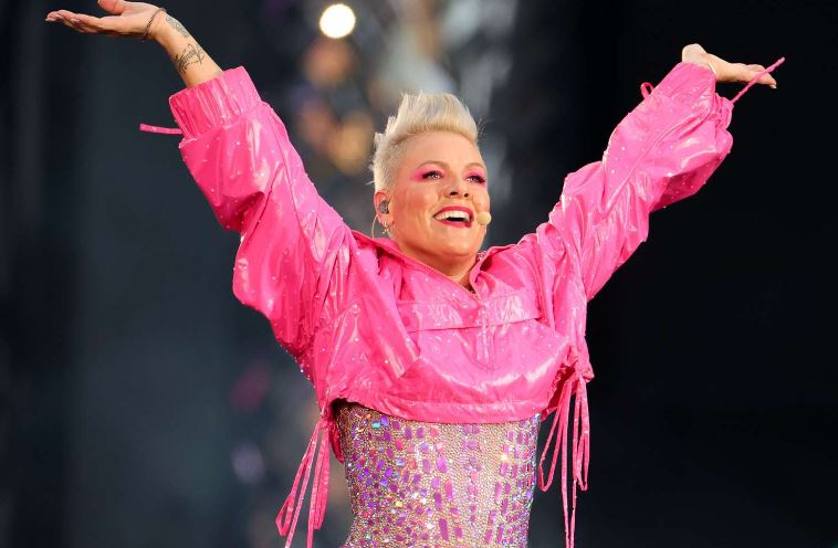 Pink Fan was forced to buy $120 ticket for newborn to attend concert 5