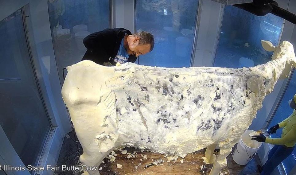 People lost their minds after realizing Iowa State Fair butter cow was not completely made of butter 2