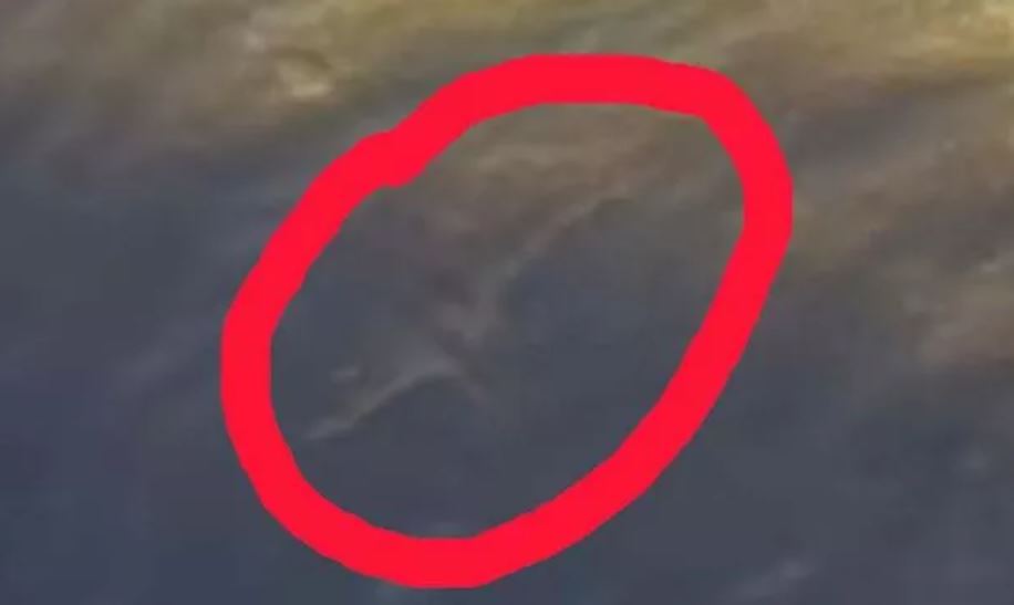 Holidaymaker stunned after taking pic of '8ft beast', fuels Loch Ness Monster theories 5