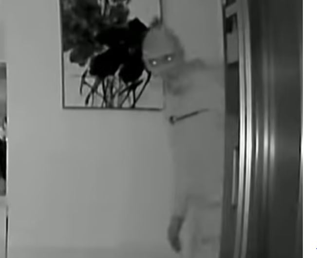 Homeowner left stunned after spotting midnight CCTV footage 3