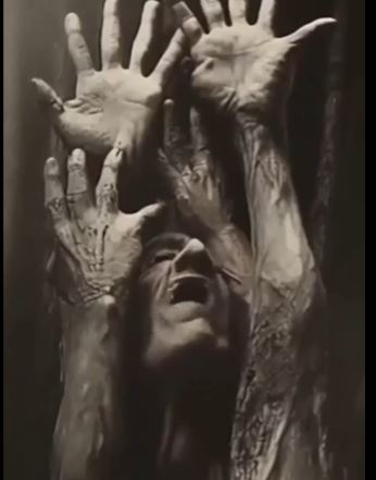 The video showed screaming faces and distorted imagery. Image Credits: X