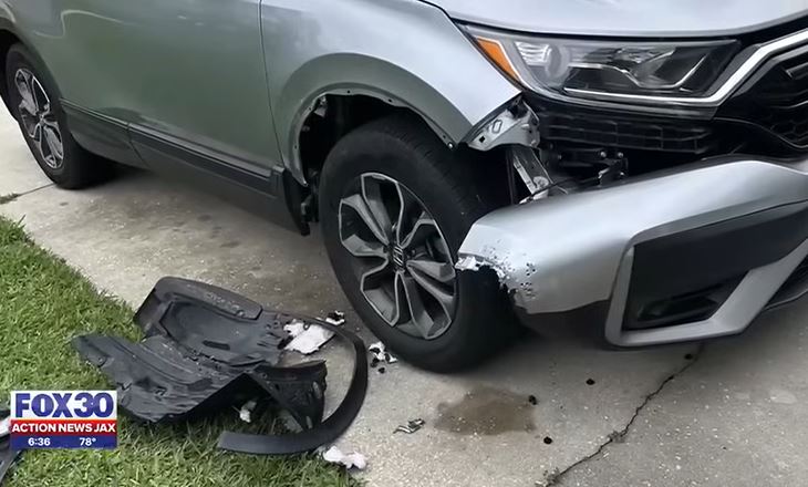 CCTV footage shows two pit bulls ripping apart SUV causing $3,000 worth of damage 6