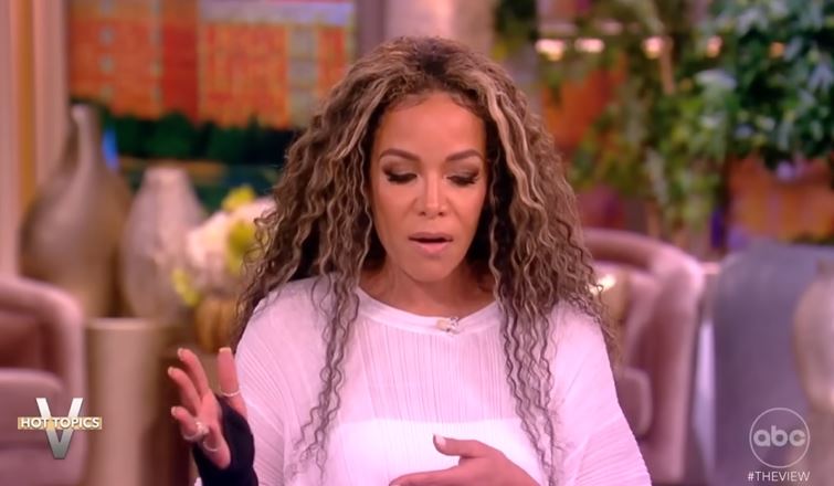 Some viewers expressed shock at Hostin's explanation, while others disagreed with her opinion.  Image Credits: The View/Youtube