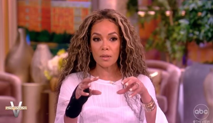 At the live broadcast, Hostin's statement was shut down by her co-hosts.  Image Credits: The View/Youtube