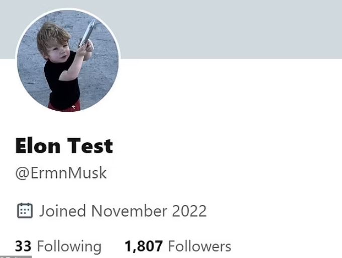 Elon Musk confirms use of 'secret account' to pretend to be a child 1