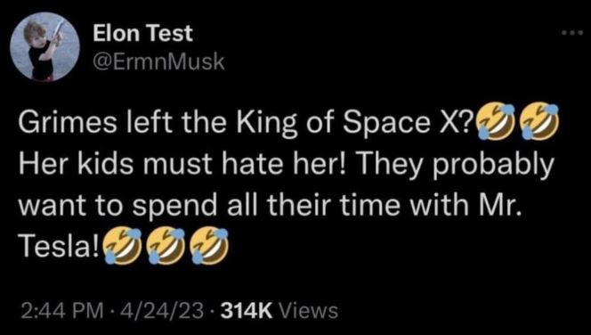 Elon Musk confirms use of 'secret account' to pretend to be a child 4