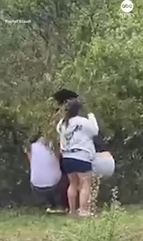 Tourists pull bear cubs from trees for selfies, sparking public outrage 5