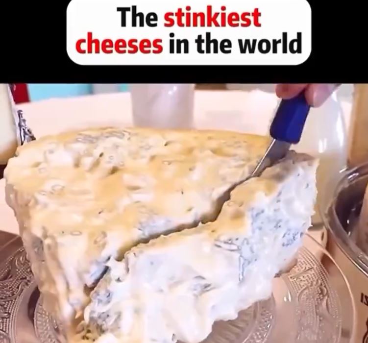 Short clip reveals Penicillium Roqueforti blue cheese production, shocking viewers. Image Credits: @PicturesFoIder/X