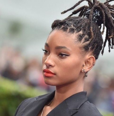  Willow Smith rejects attribution of success to famous parents 3