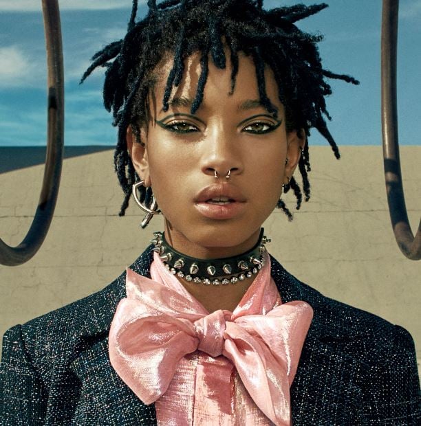  Willow Smith rejects attribution of success to famous parents 1