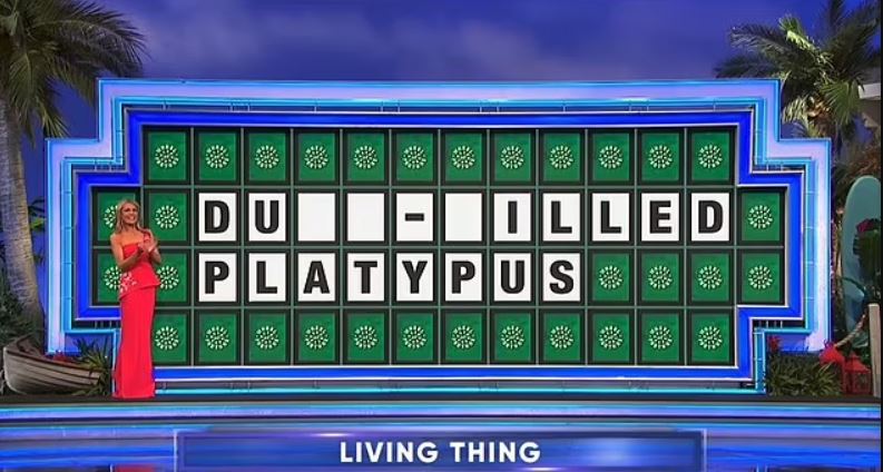 The audience cheered as 'duck-billed platypus' seemed apparent, but Wright chose 'F'. Image Credits: Wheel Of FortuneWheel Of Fortune