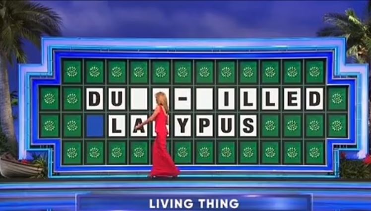 Wheel of Fortune fans outraged over contestant's costly mistake. Image Credits: Wheel Of FortuneWheel Of Fortune