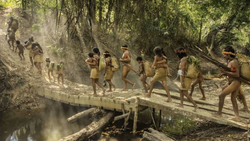 New study reveals cavemen 'may have been vegan' 5