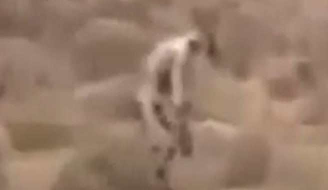 Mysterious 'man-like creature' was spotted roaming through the desert 5