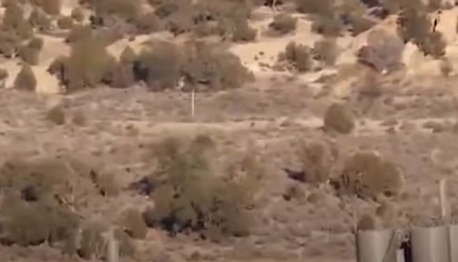 Mysterious 'man-like creature' was spotted roaming through the desert 4