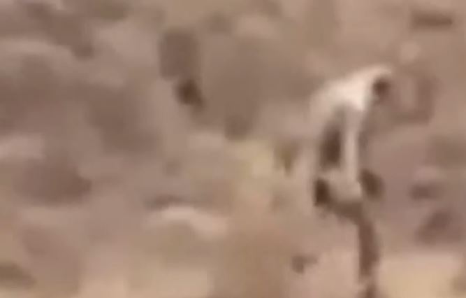 Mysterious 'man-like creature' was spotted roaming through the desert 3