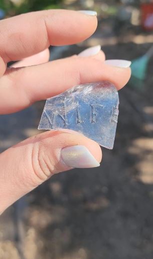 Image Credits: @cabeleirae/Reddit