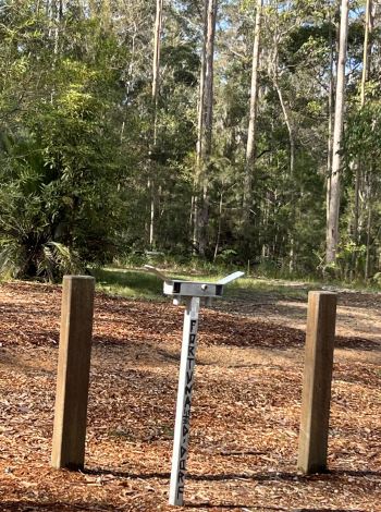 Image Credits: @GrowlitheGrowl/Reddit