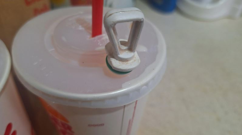 Image Credits: @Ok-Guitar-2464/Reddit