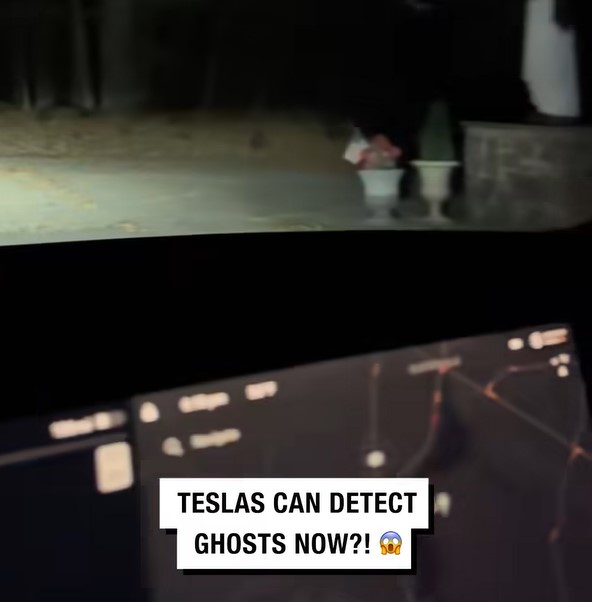 Tesla driver stunned after capturing 'ghots' while driving across cemetery 1