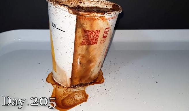 People stunned after discovering the longevity of McDonald's paper cups 4