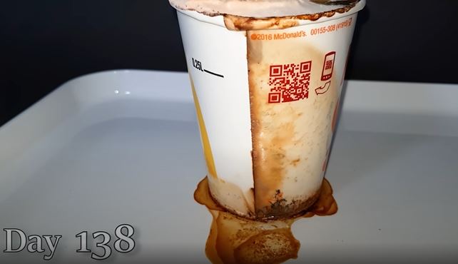 People stunned after discovering the longevity of McDonald's paper cups 3