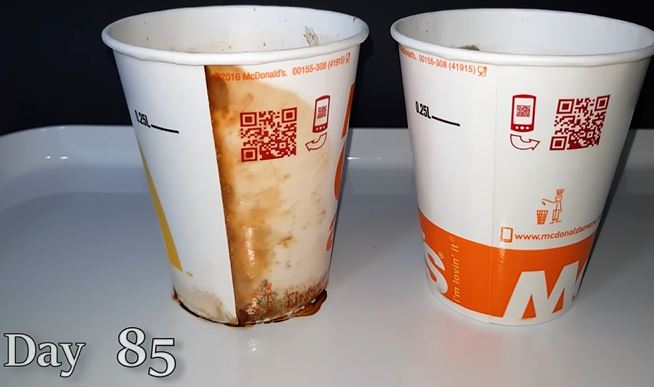 People stunned after discovering the longevity of McDonald's paper cups 2