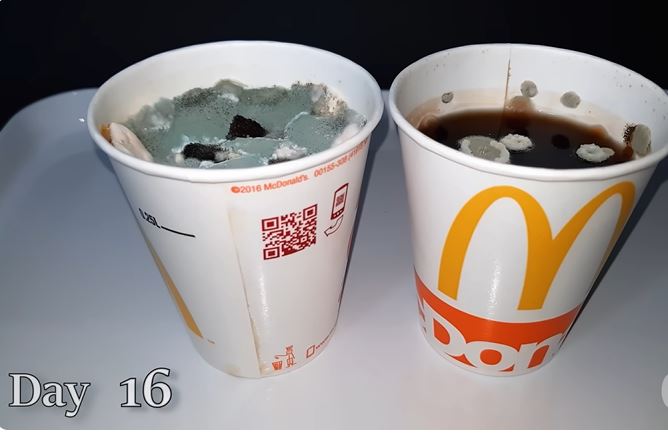 People stunned after discovering the longevity of McDonald's paper cups 1
