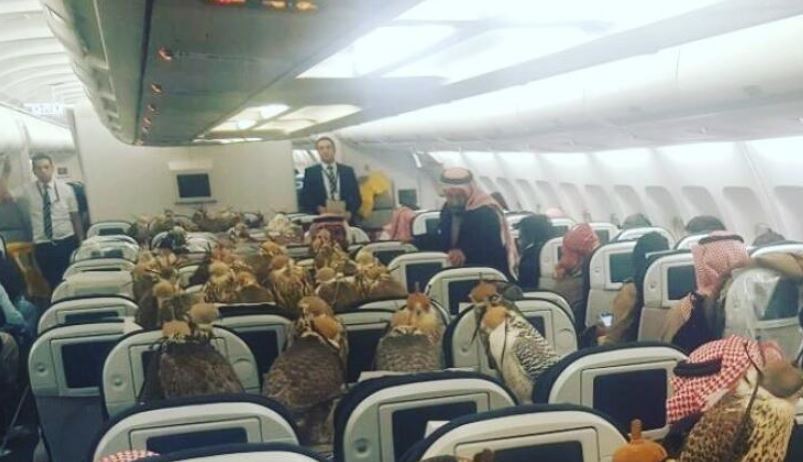 Saudi prince sparks debate after buying 80 airline seats for his Falcons 2