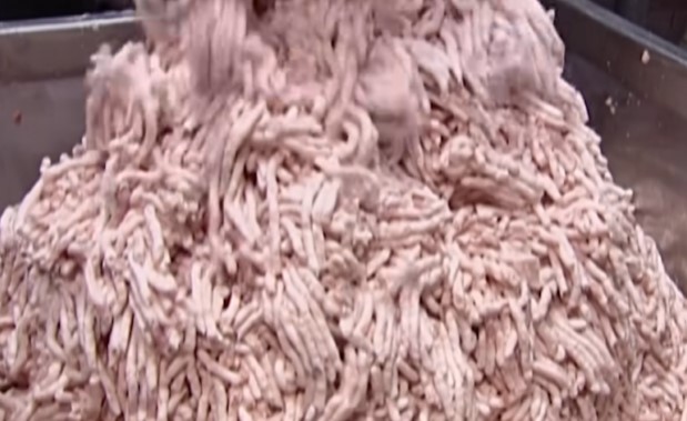 The process involves grinding a mixture of pork, beef, and chicken, along with other additives like food starch and salt. Image Credits:  Discovery UK