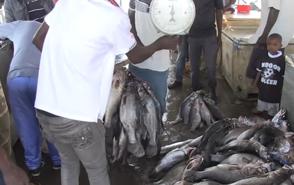 Fishing is the primary livelihood for over 500 residents of Migingo Island.  Image Credits: AFP News Agency