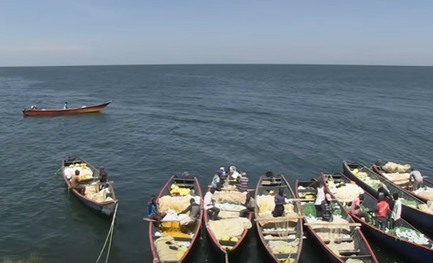 Sanitation facilities are scarce on Migingo Island, situated between Uganda and Kenya.  Image Credits: AFP News Agency