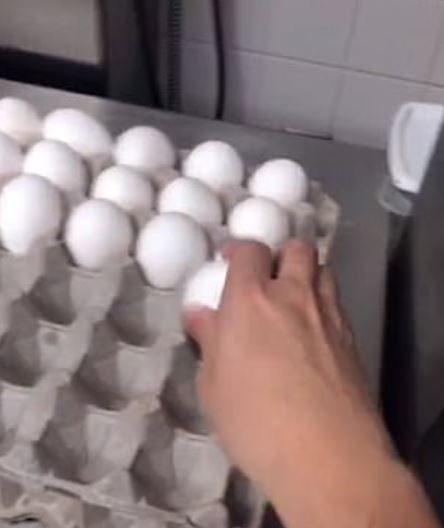McDonald's worker fired after sharing kitchen 'secrets on how they cook eggs 3
